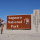 Fall 2020 – Arizona’s Saguaro National Park